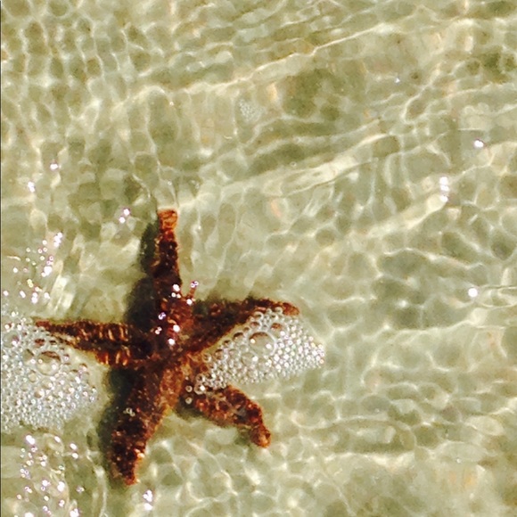 Meet Your Posher Brenda - Picture 4 of 9